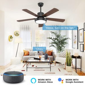 811U0CezdsL._AC_SL1500_ 811U0CezdsL._AC_SL1500_