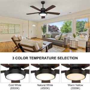 81KcX9i6sxL._AC_SL1500_ 81KcX9i6sxL._AC_SL1500_